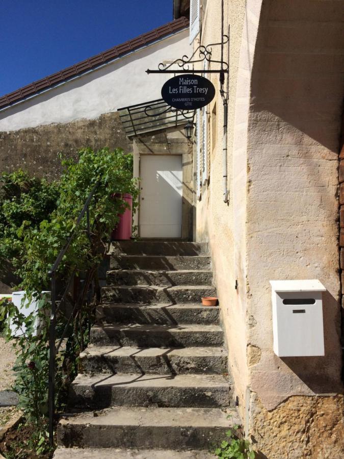 Chambres D Hotes Les Filles Tresy Passenans Exterior foto